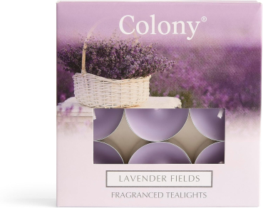 Wax Lyrical - Colony Fragranced Teelights Lavender Fields - 9 Stück
