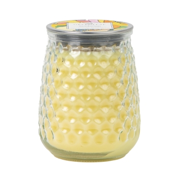 Greenleaf Signature Candle - Sunbeam 369 g