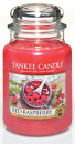 Yankee Candle Red Raspberry 623 g